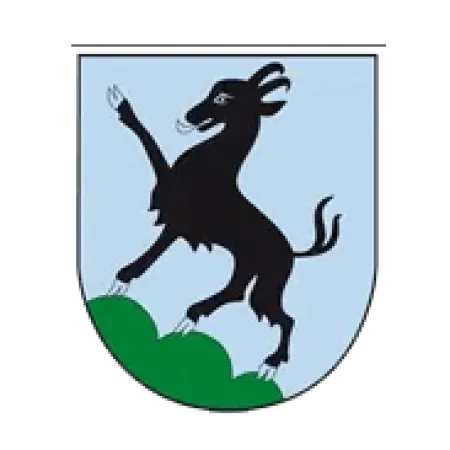 Stadtgemeinde Kitzbühel